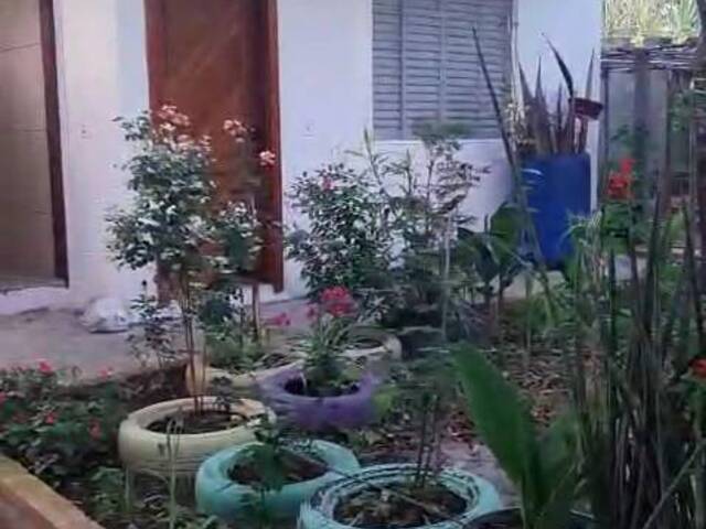 #2001 - Chácara para Venda em Bertioga - SP - 1