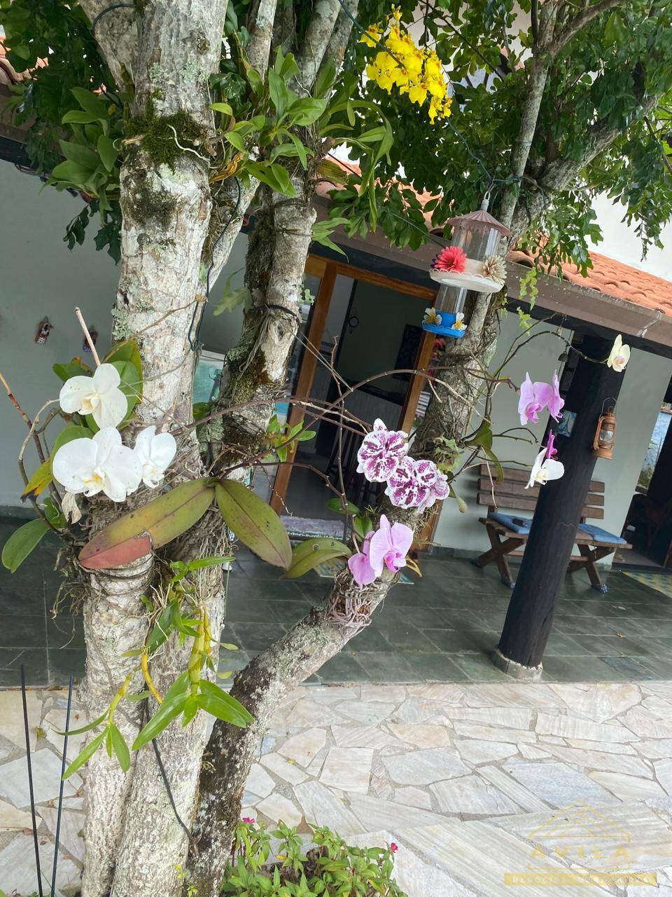 Casa, 3 quartos - Foto 7